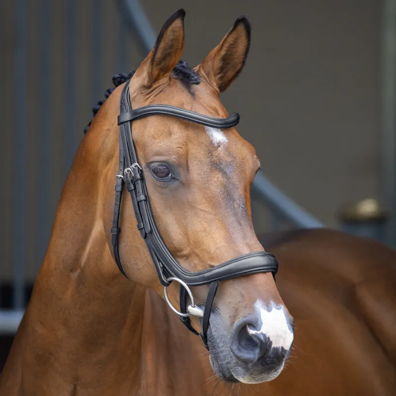Shires Velociti Lusso Ergonomic Curved Flash Bridle - Black